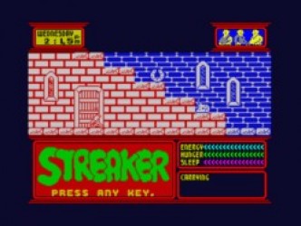 Streaker (1987)(Bulldog) Rom